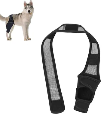 Imagen del producto de Pantalones protectores ajustables para las patas traseras de perros - Color , para soporte de las patas