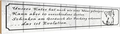 Produktbild von vianmo Holzschild 10x46 cm unsere Katze noch Maus gefangen Tier Haustier