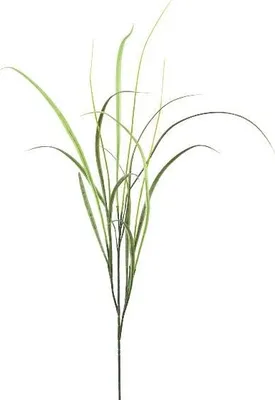 Produktbild von artplants.de Künstlicher Zweig Schilf Gras SLIRFT, grün, 115cm - Deko Schilfgraszweig
