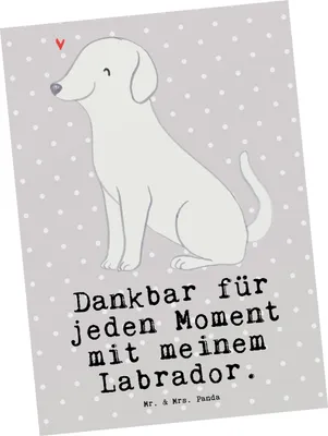 Produktbild von Mr. & Mrs. Panda Postkarte Labrador Moment - Grau Pastell - Geschenk, Postkarten, Grußkarte, Ansichtskarte, bildkarte, einzelkarte
