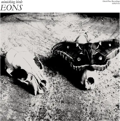 Produktbild von Mimicking Birds-Eon