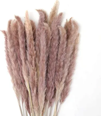 Produktbild von 30 Stück Pampasgras Getrocknet Deko, Trockenblumen Bodenvase Getrocknete Blumen 60cm, Kunstblumen Boho Deko Schlafzimmer Wohnzimmer Balkon Badezimmer Zimmer Tischdeko Hochzeit, MEHRWEG