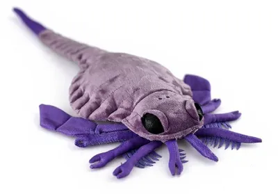 Zdjęcie produktu dla Realistyczna pluszowa zabawka Carcinosoma – 50 cm