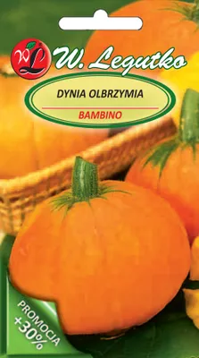 Zdjęcie produktu dla Nasiona Dynia olbrzymia Bambino, pomarańczowa, 4g