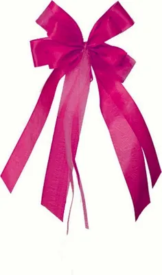 Produktbild von Nestler Geschenkschleife pink ca. 17 x 31 cm
