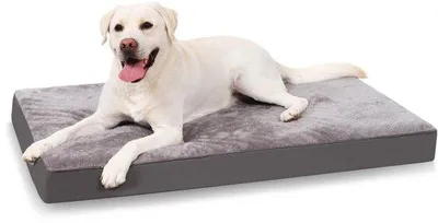 Image de Lit orthopédique pour chien, coussin lavable, moelleux, gris foncé, 60 x 45 x 7 cm