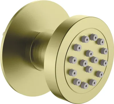 Image de Concealed round shower nozzle