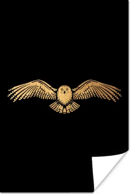 Produktbild von MuchoWow® Poster Bild - Eule - Tier 120x180 cm - Kunstposter