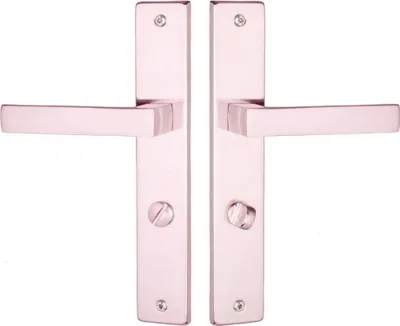 A pair of silver door handles on a white background.