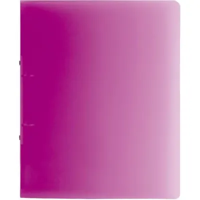 Produktbild von BRUNNEN Ringbuch A4 FACT! 16mm 2-Ringe pink 106551626
