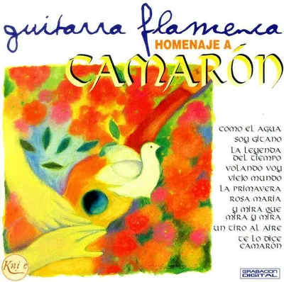 Immagine prodotto di Omaggio a Camarón