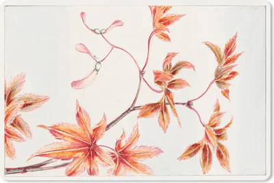 Produktbild von MuchoWow® Mauspad Mousepad Blätter - Baum - Ahorn - Vintage - Japanisch 27x18 cm - Mousepads - Maus Mat - Pad - Mausunterlage - Büroartikel - Desk Matten