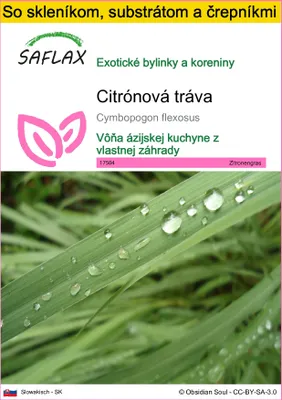 Obrázok produktu pre SAFLAX Kultivačný set - citrónová tráva - Cymbopogon flexosus - 50 Semená - S mini skleníkom, pestovateľským substrátom a 2 črepníkmi