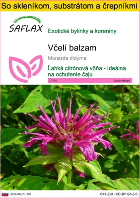 Obrázok produktu pre SAFLAX Kultivačný set - včelí balzam - Monarda didyma - 20 Semená - S mini skleníkom, pestovateľským substrátom a 2 črepníkmi