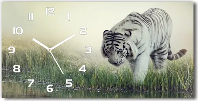 Produktbild von Wanduhr aus Glas – 60x30 cm - Glasbild - Glasuhr - Gehärtetes Glas - weisse-zeiger - weißer Tiger