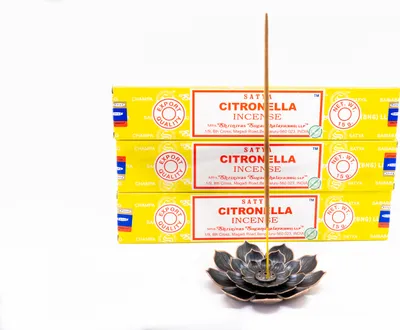 Produktbild von Scentolino Citronella Räucherstäbchen für Indoor und Outdoor inkl. hochwertigen Räucherstäbchenhalter