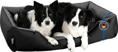 Produktbild von Großes Hundekissen - XXL - Quadrat - Schwarz/Grün mit abnehmbaren Decken