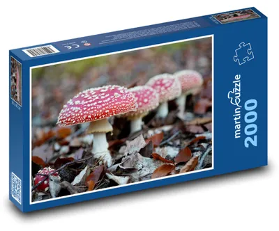 Produktbild von martinpuzzle - Puzzle 2000 Teile - Schwalbenflut
