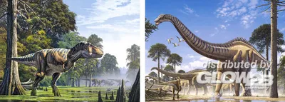 Produktbild von Castorland Dinosaurs 2x Puzzle(165+300)Teile   B-021147-1