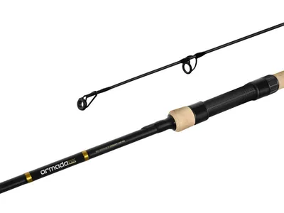 Image de Delphin ARMADA NX BlackWay Cork 360cm/3.00lbs/2 parties