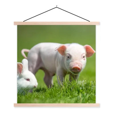 Produktbild von MuchoWow® Textilposter Ferkel - Kaninchen - Tiere 40x40 cm mit holzfarbenen Rahmen - Posterleiste