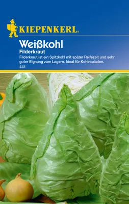 Produktbild von Weißkohl Filderkraut