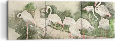 Produktbild von Bild auf Leinwand - Leinwandbild - Flamingo Vogel Wasser - 120x40cm - Wand Bild - Wanddeko - Leinwanddruck - Bilder - Kunstdruck - Wanddekoration - Leinwand bilder - Wandkunst - CA120x40-3462
