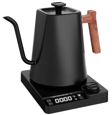 Schwanenhals-Wasserkocher 1L, 1200W, Edelstahl, schwarz