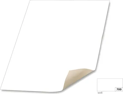 Image de Folia 65701 Plakatkarton - 48 x 68 cm, weiß