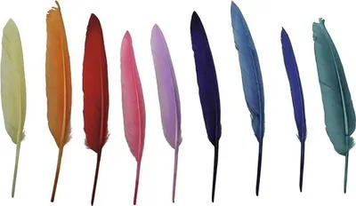 Produktbild von Indianerfedern bunt 15-20 cm 8 g ca. 20 Stück