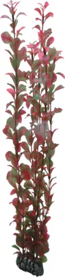Produktbild von Hobby Ludwigia, 60 cm - Kunststoffpflanze für Aquarien