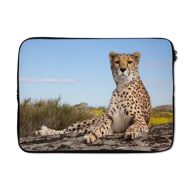 Produktbild von MuchoWow® Laptop Hülle 14 ZollLeopard - Tiere - Natur Laptoptasche - Laptoptasche - Stoßsicher - Schutzhaube