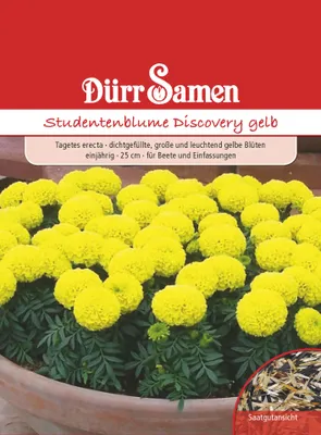 Produktbild von Dürr-Samen - Studentenblumen Discovery gelb einjährig 25 cm - Saatgut - 4211