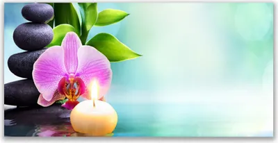 Produktbild von Küchenrückwand aus Glas 120x60cm Spritzschutz Bambusrohre Steine Blume Kunst