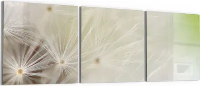 Produktbild von DEQORI Glasbild Echtglas 3x50x50 cm 'Pusteblume ganz nah' Wandbilder XXL groß
