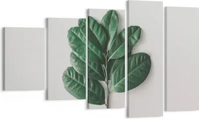 Produktbild von Bild auf Leinwand - Leinwandbild - 5 Teile - Blätter Pflanzen Botanik - 100x60cm - Wand Bild - Wanddeko - Wandbilder - Leinwanddruck - Bilder - Wanddekoration - Leinwand bilder - EG100x60-4956