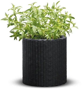 Produktbild von KETER Blumentopf Zylinder S 28 X 28 X 283 cm Anthrazit 229120