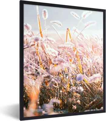 Produktbild von MuchoWow® Gerahmtes Poster Gras - Sonne - Winter - Schnee 60x80 cm - Poster mit Schwarzem Bilderrahmen Wandposter Rahmen Foto Bilder - Premium - Wanddeko Wohnzimmer