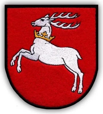 Immagine prodotto di Stemma della regione di Lubelskie - Da cucire - Toppa/Distintivo/Emblema ricamato