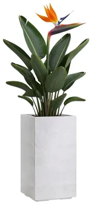 Immagine prodotto di HowHomely | Vaso per piante - Copri-vaso - color crema - 30 x 30 x 60 cm - Vaso da fiori - Effetto legno - Pratico
