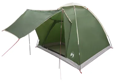 Image de Tente de camping vidaXL avec toit vert, 2 personnes, en polyester et acier