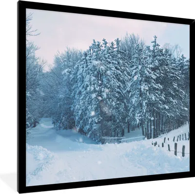 Produktbild von MuchoWow® Gerahmtes Poster Wald - Schnee - Winter 40x40 cm - Poster mit Schwarzem Bilderrahmen Wandposter Rahmen Foto Bilder - Mit Rahmen - Wanddekoration Schlafzimmer
