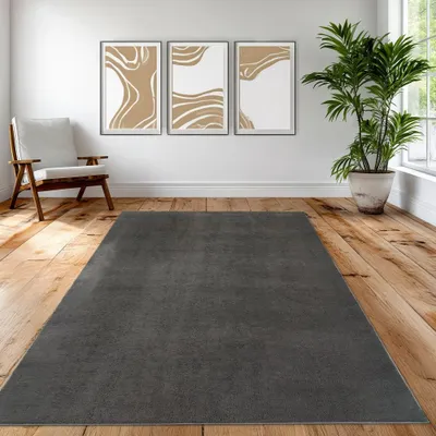 Immagine prodotto di Tappeto antracite elegante morbido moderno di facile manutenzione con elegante design a tinta unita dimensioni - 240 x 340 cm