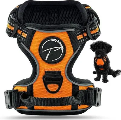 Produktbild von Famanu Hundegeschirr mit Reflektierendem Nylon und Atmungsaktivem Mesh - Orange, Größe M