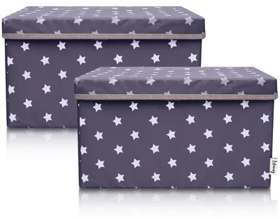 Produktbild von Lifeney 2-Set Aufbewahrungsbox Kinder (37x25x21cm) I Aufbewahrungskorb für Kinderzimmer und Wohnbereich I Kinder Aufbewahrungskiste (Anthrazit Stern)
