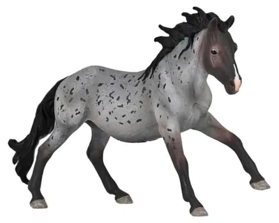 Immagine prodotto di Collecta 80060 Nokota Stallion Blue Roan 16 cm Mondo dei cavalli