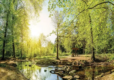 Produktbild von Fototapete Vlies 10508 VEXXL Wald grün blau 3-tlg. 312 x 219 cm