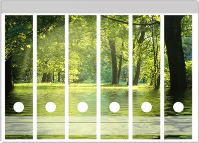 Produktbild von Wallario Ordnerrücken Sticker, selbstklebend für breite Ordner, 6 Stück, Motiv Idyllischer See im Wald bei Sonnenschein