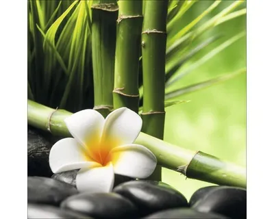 Produktbild von Glasbild Flowers Stones Bamboos III 20x20 cm