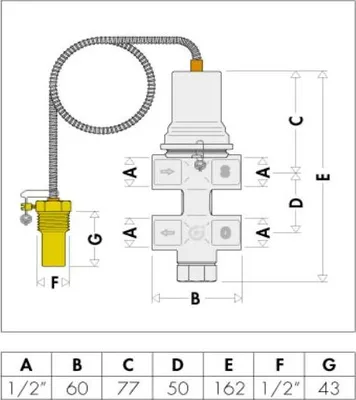 Image de Caleffi Double sécurité thermique de vidange 1/2